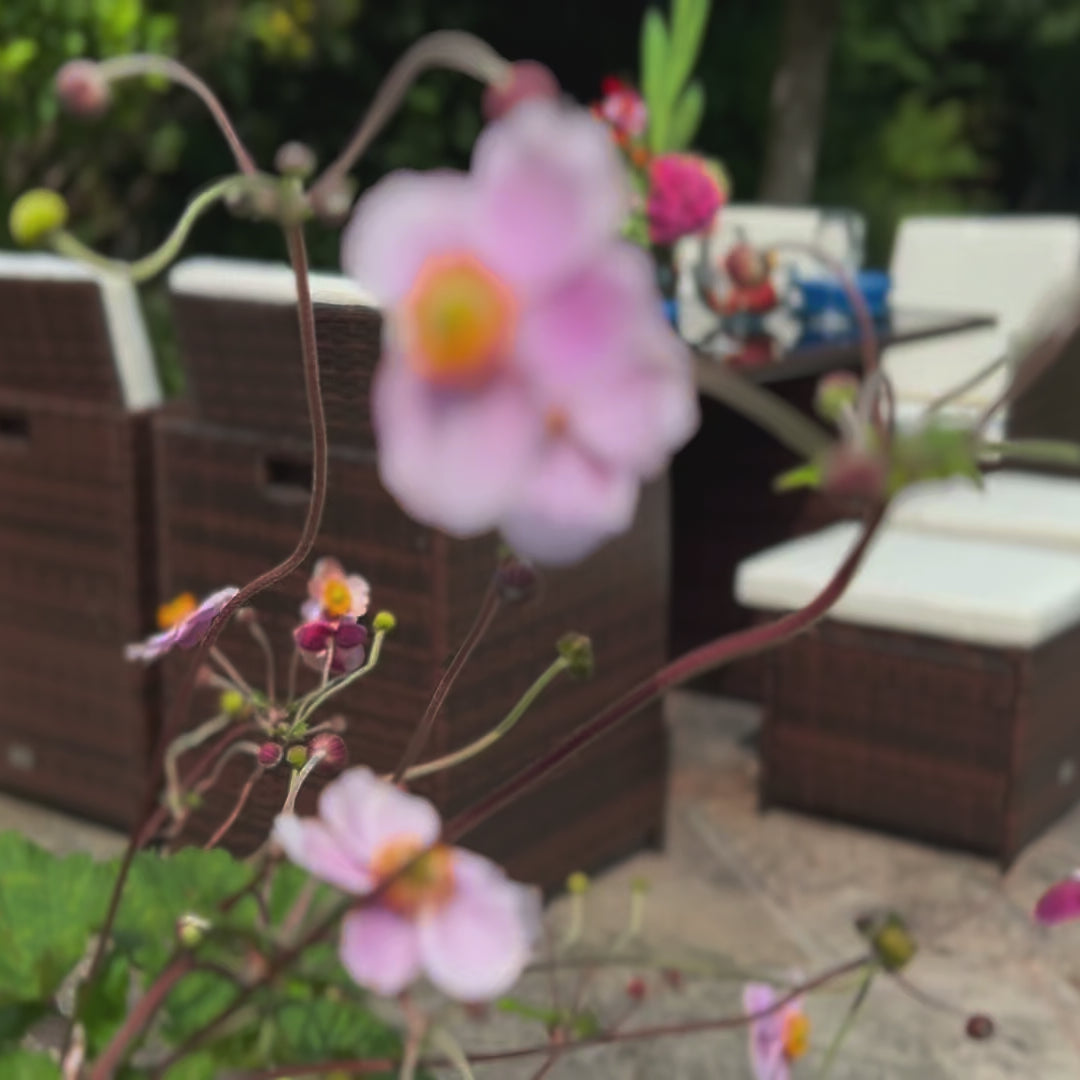 9 Piece Cube Rattan Dining Set - Brown