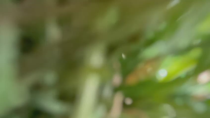 Townyard Cocktail Bar Set