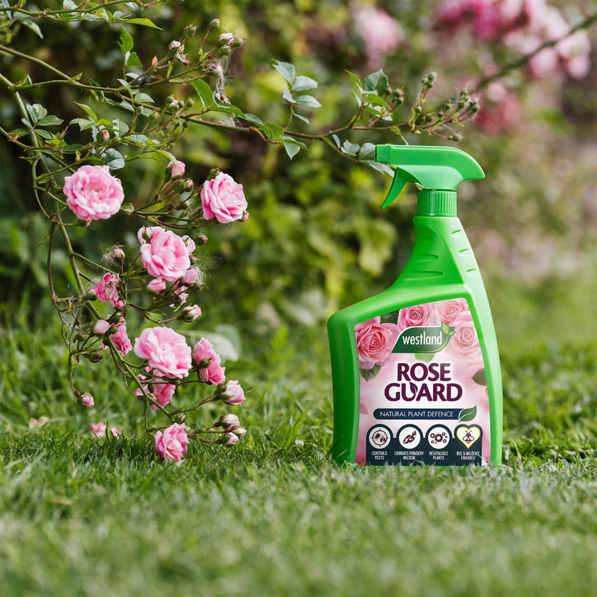 Westland Rose Guard RTU 800ml