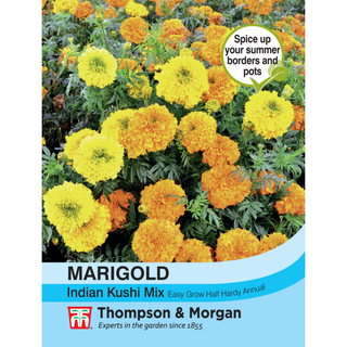 Thompson & Morgan - Marigold Indian Kushi Mix Seeds