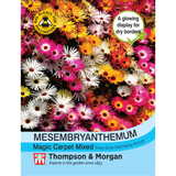 Thompson & Morgan - Mesembryanthemum Magic Carpet Mixed Seeds