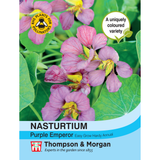 Thompson & Morgan - Nasturtium Purple Emperor Seeds