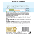 Thompson & Morgan - Nasturtium Rumba Mixed Seeds