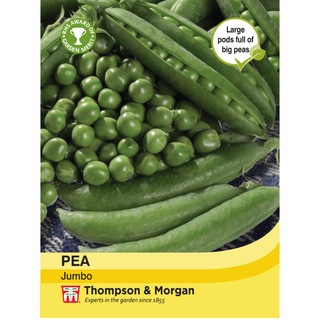 Thompson and Morgan - Pea Jumbo Seeds