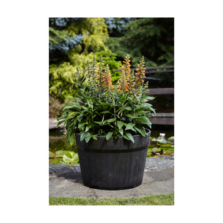 Tom Chambers Whiskey Barrel Planter Medium